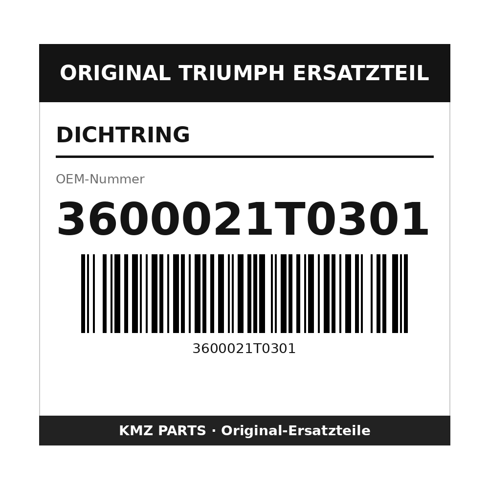 Triumph Dichtring 3600021T0301