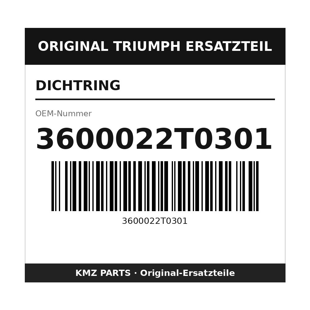 Triumph Dichtring 3600022T0301