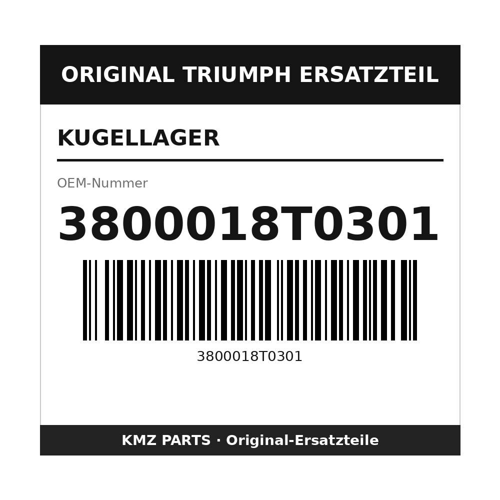 Triumph Kugellager 3800018T0301