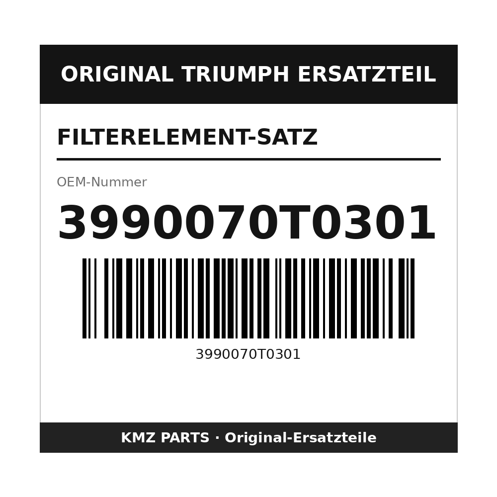 Triumph Filterelement-Satz 3990070T0301