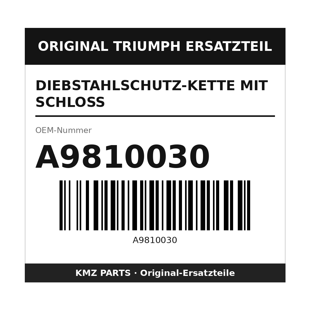Triumph Diebstahlschutz-Kette mit Schloss A9810030
