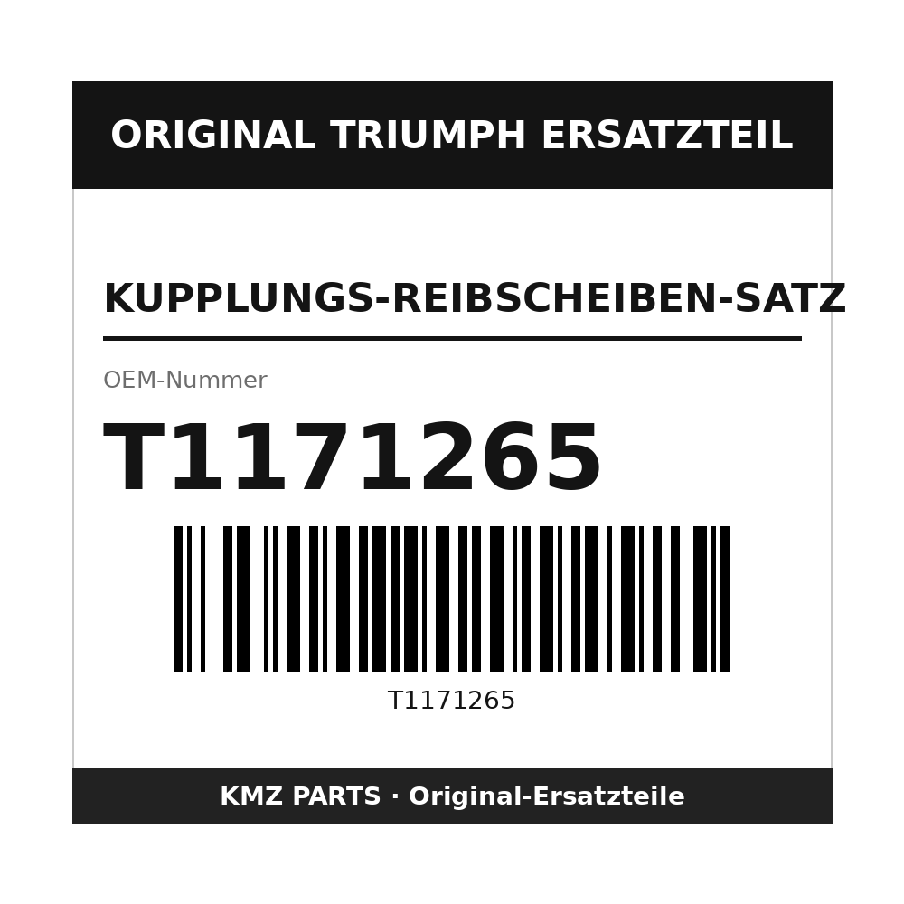 Triumph Kupplungs-Reibscheiben-Satz T1171265