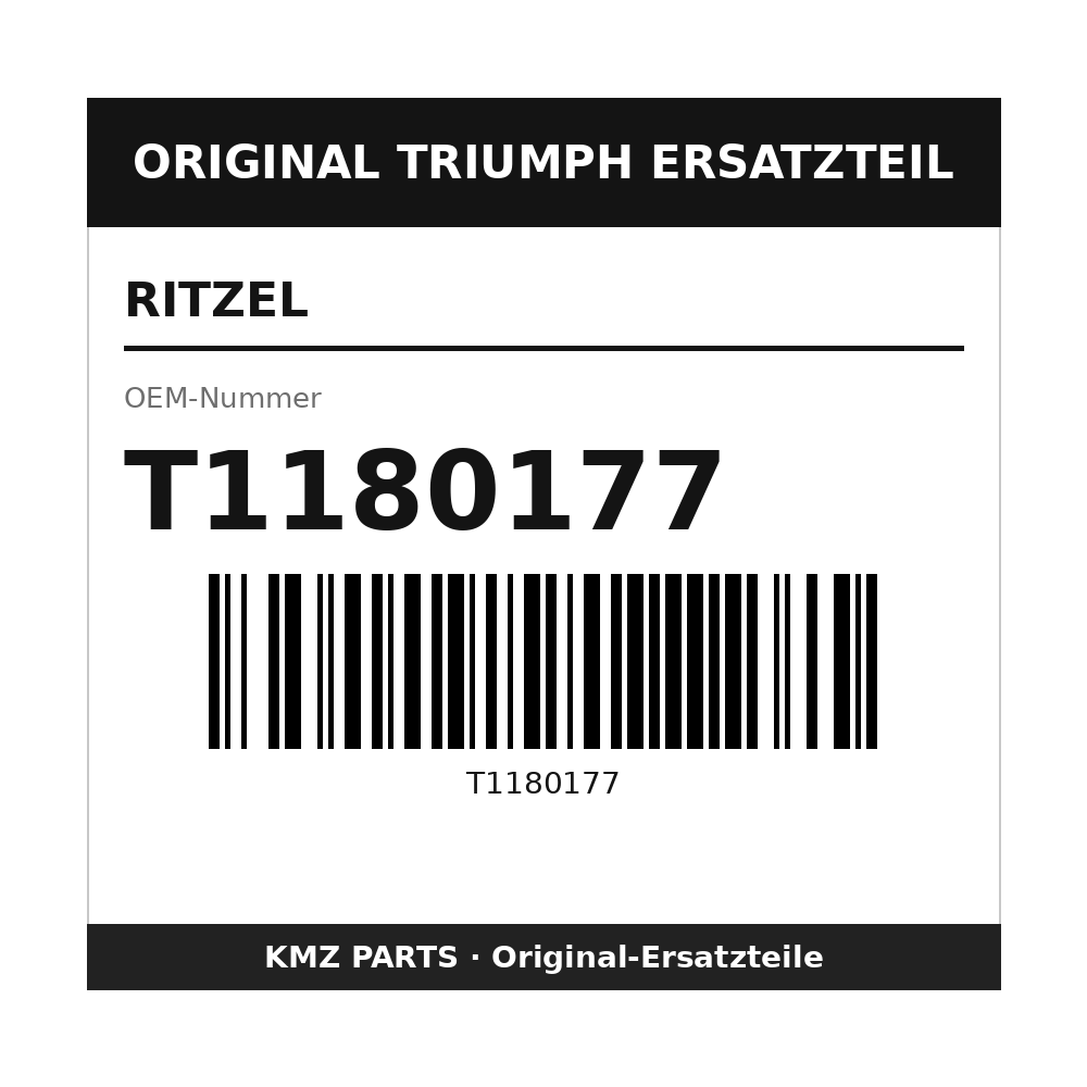 Triumph Ritzel T1180177