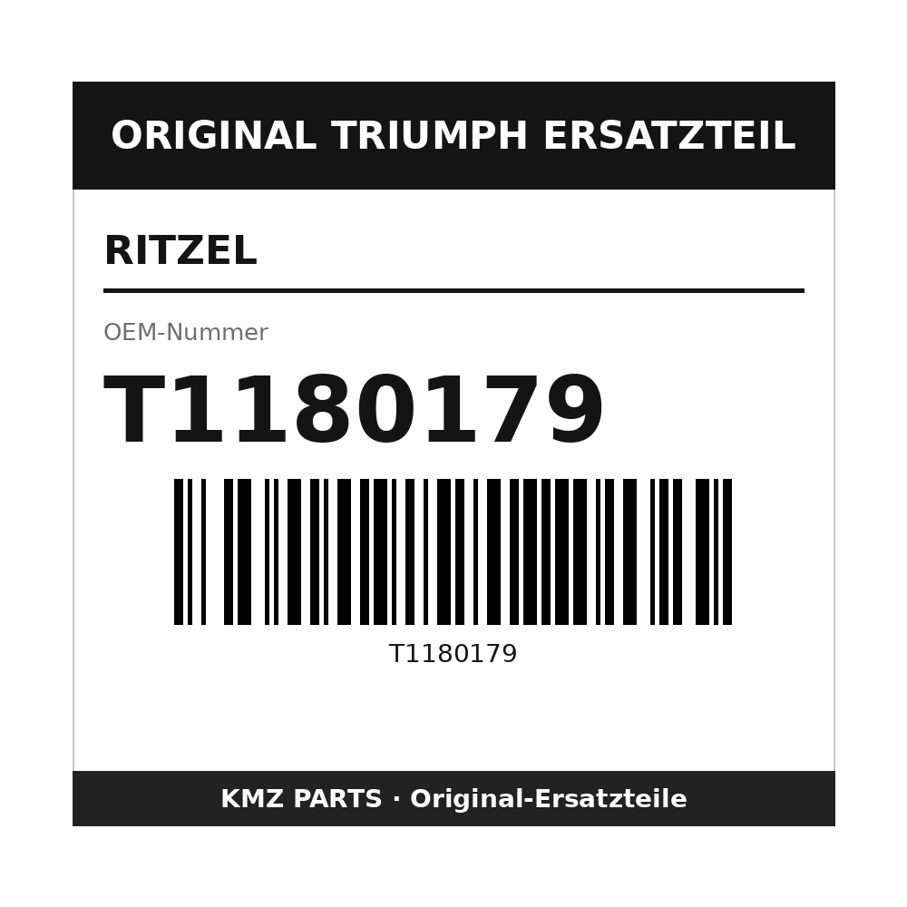 Triumph Ritzel T1180179