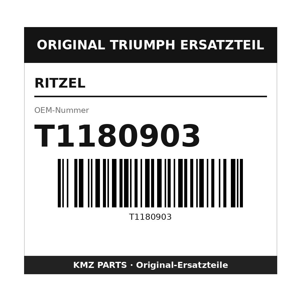Triumph Ritzel T1180903