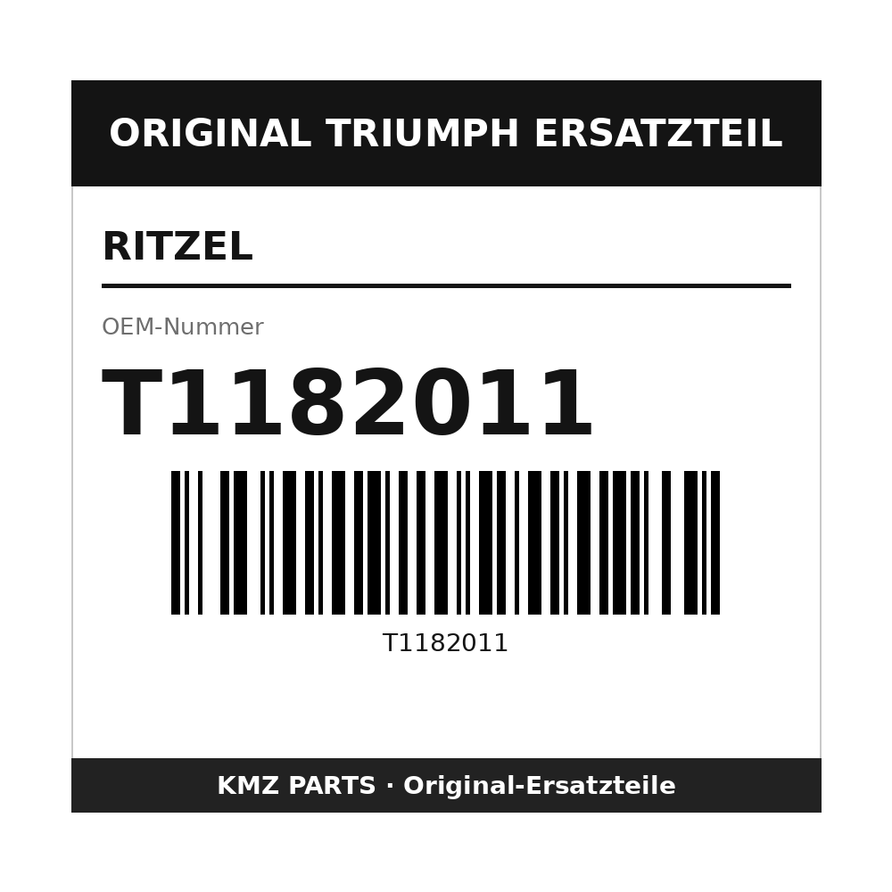 Triumph Ritzel T1182011