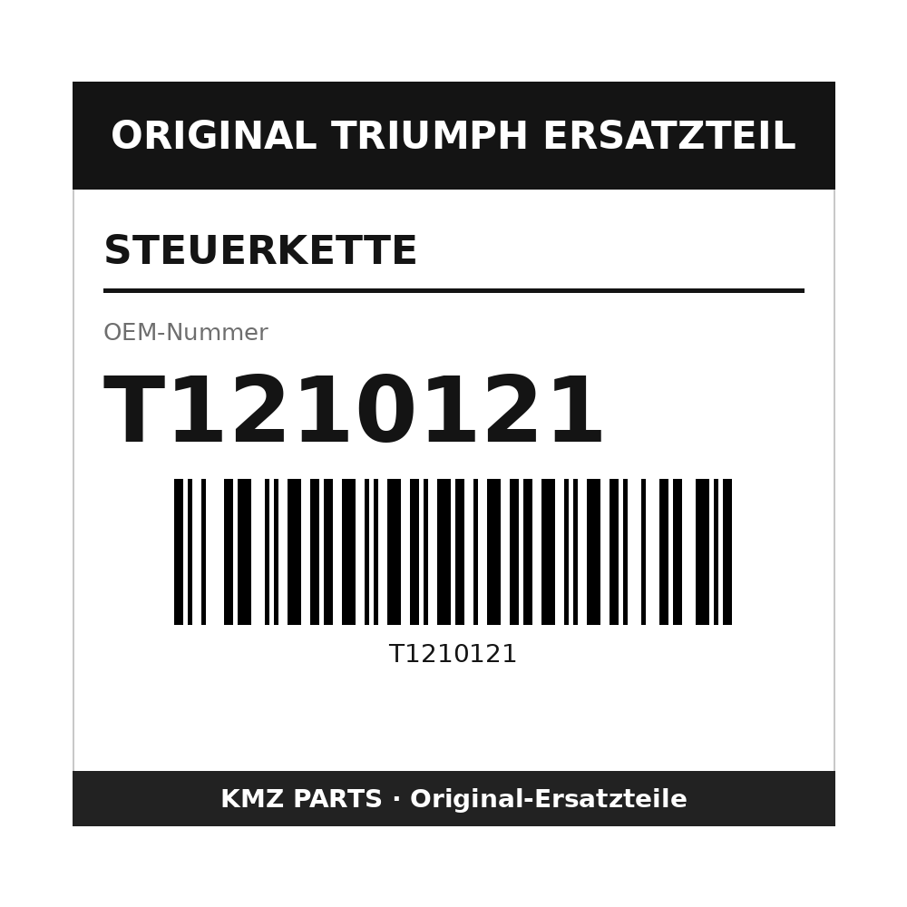 Triumph Steuerkette T1210121