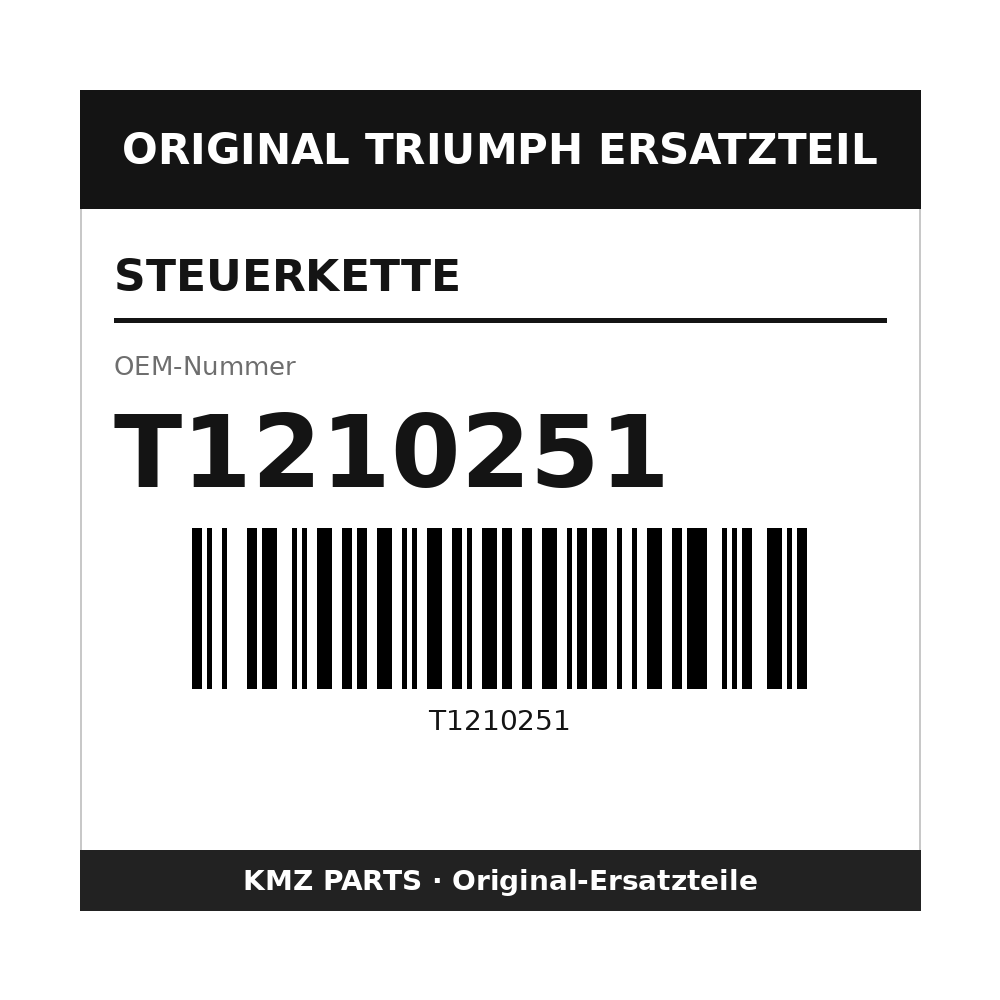 Triumph Steuerkette T1210251