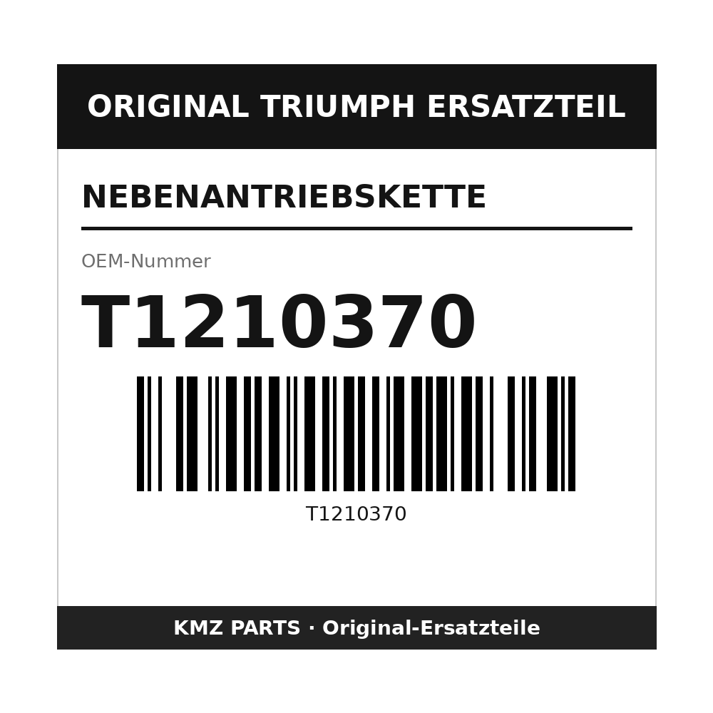 Triumph Nebenantriebskette T1210370