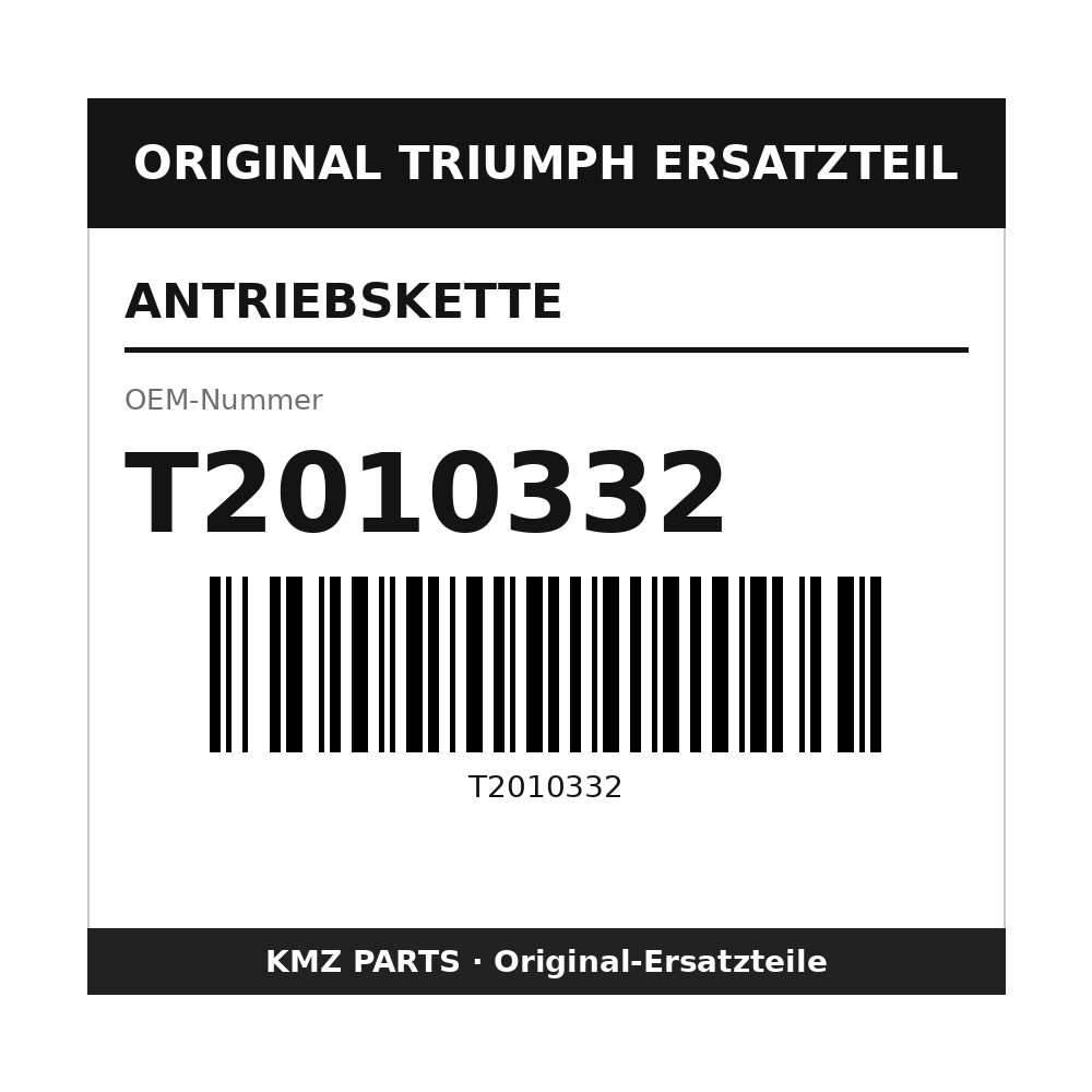 Triumph Antriebskette T2010332