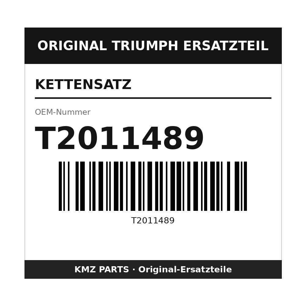 Triumph Kettensatz T2011489