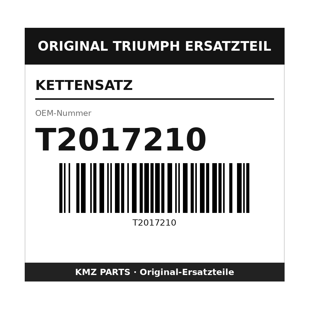 Triumph Kettensatz T2017210