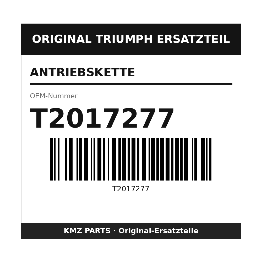 Triumph Antriebskette T2017277