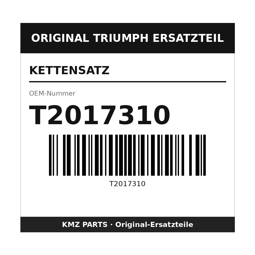 Triumph Kettensatz T2017310