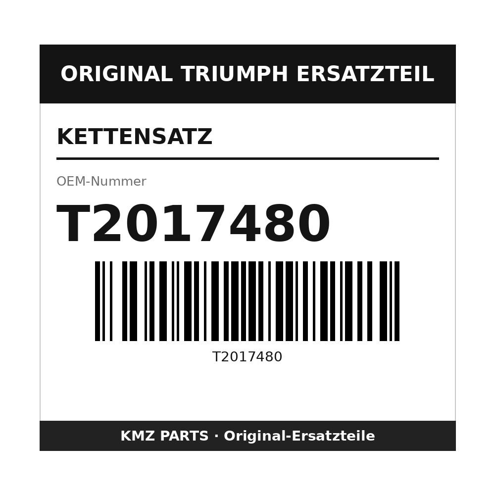 Triumph Kettensatz T2017480