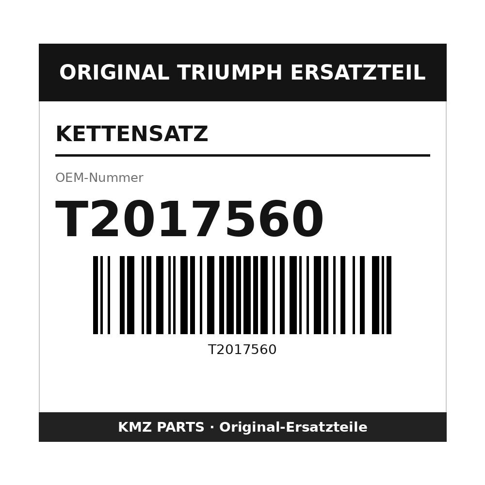 Triumph Kettensatz T2017560