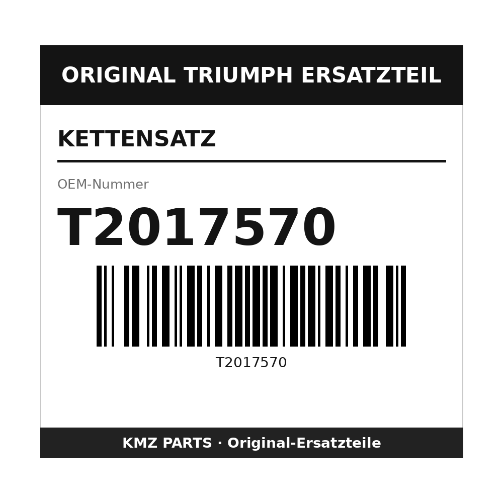Triumph Kettensatz T2017570