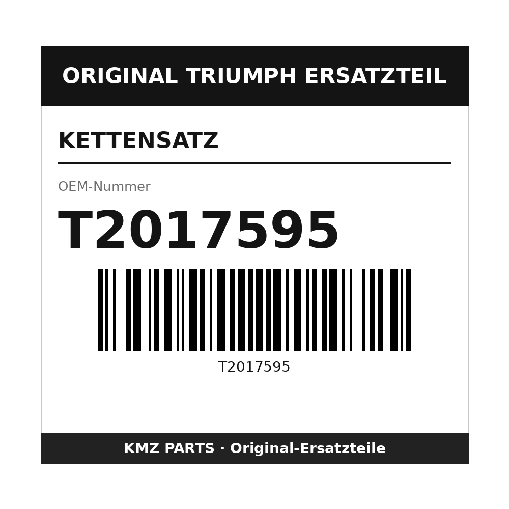 Triumph Kettensatz T2017595