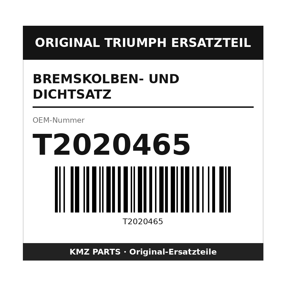 Triumph Bremskolben- und Dichtsatz T2020465