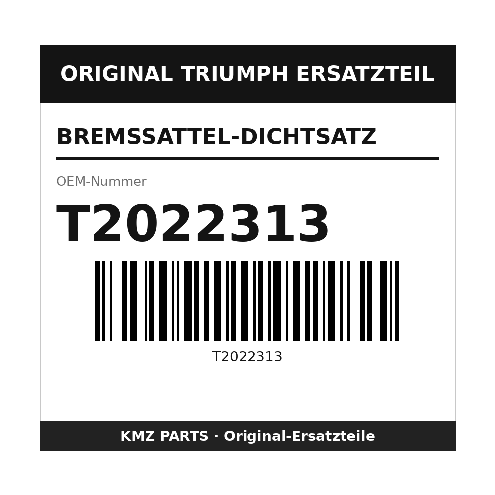 Triumph Bremssattel-Dichtsatz T2022313