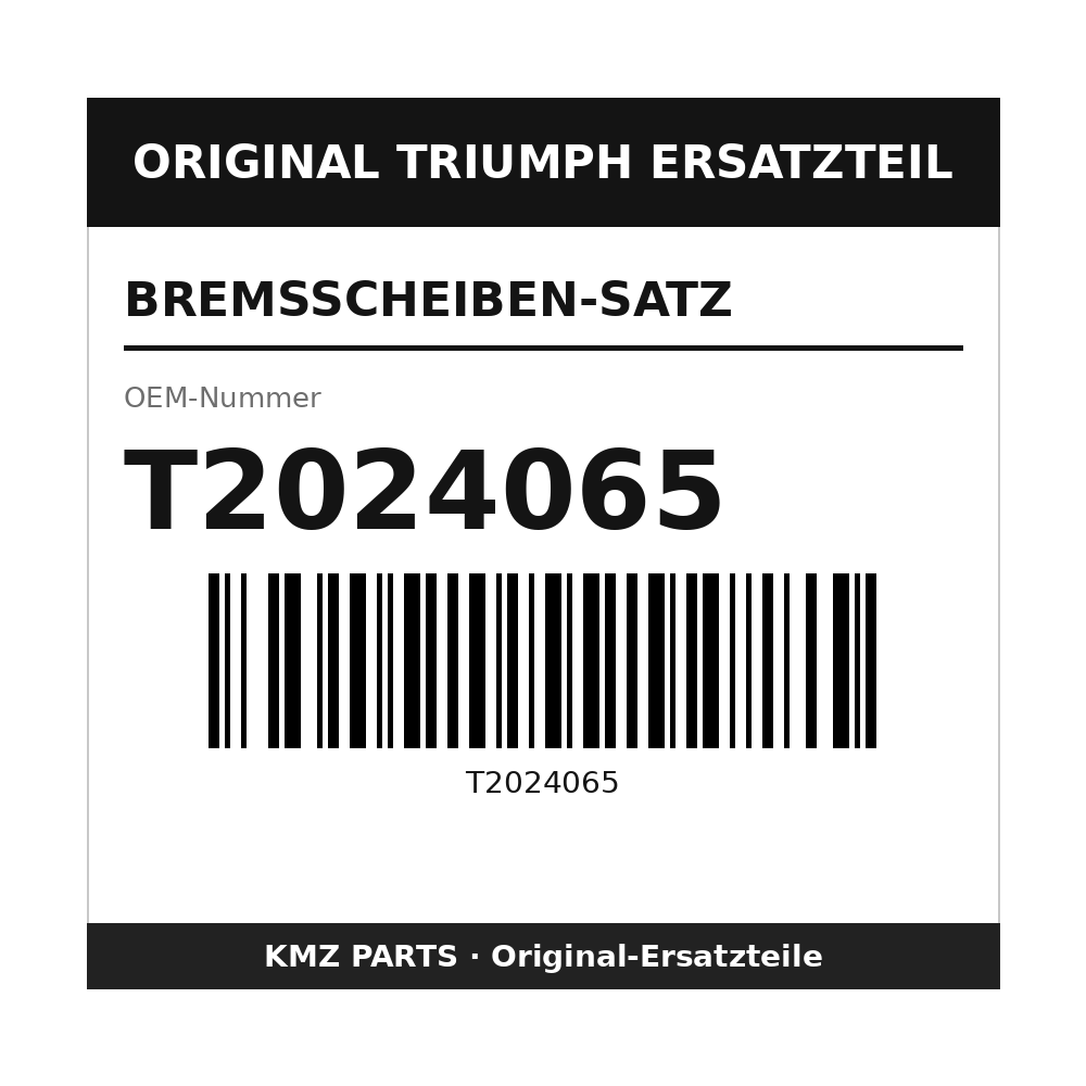 Triumph Bremsscheiben-Satz T2024065