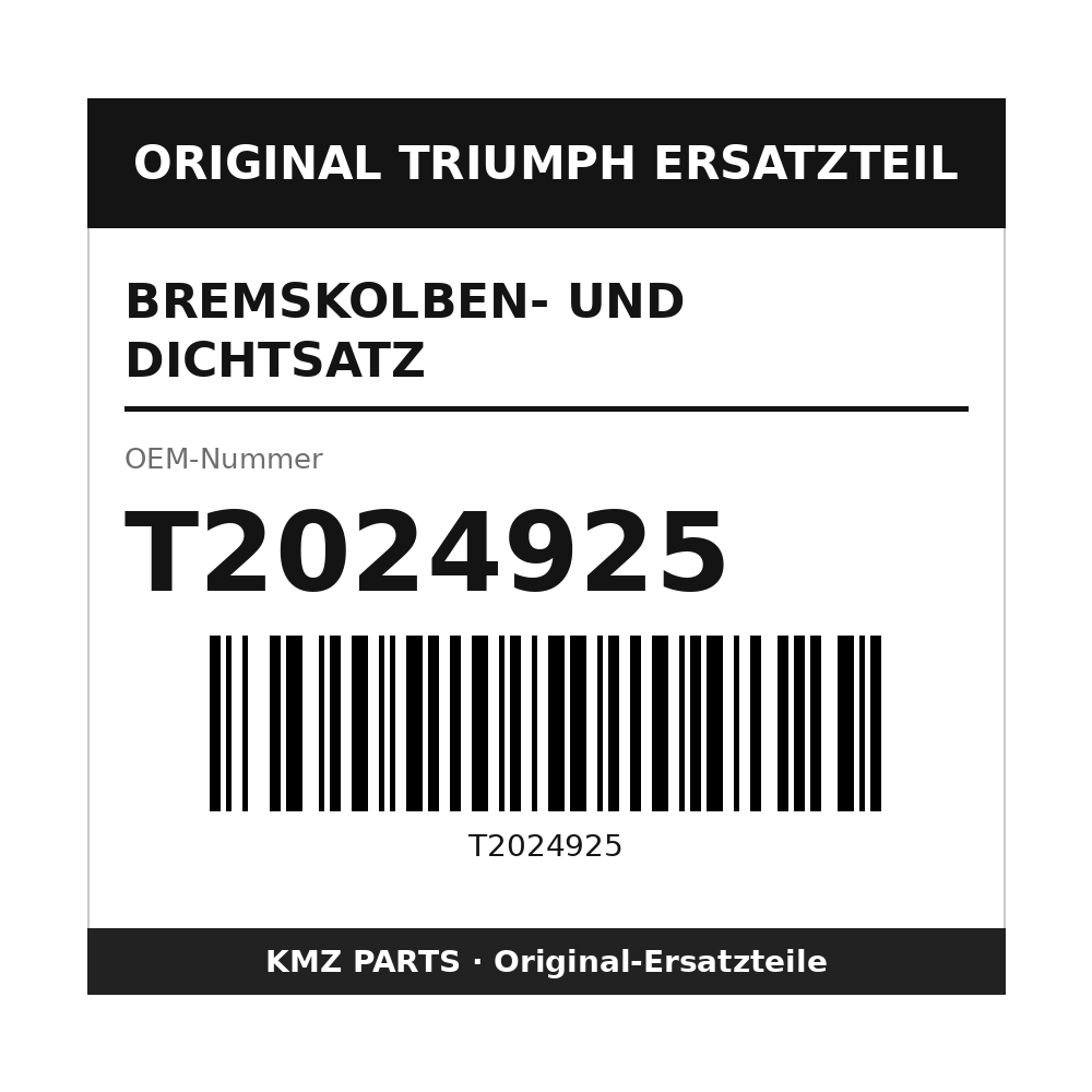 Triumph Bremskolben- und Dichtsatz T2024925