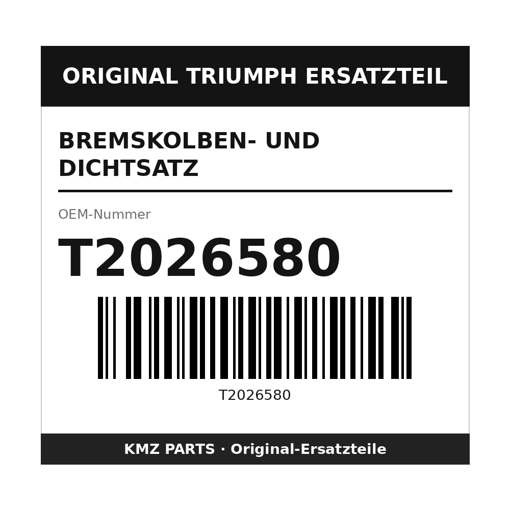 Triumph Bremskolben- und Dichtsatz T2026580