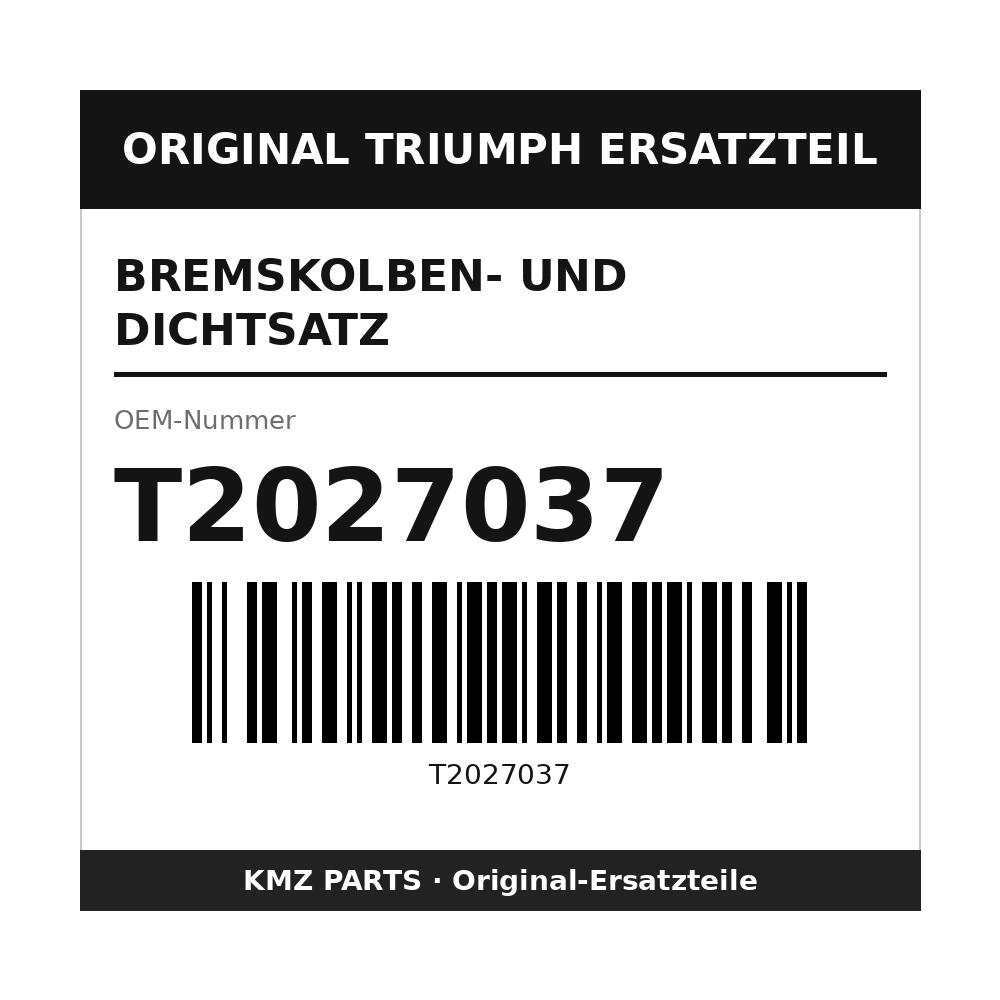 Triumph Bremskolben- und Dichtsatz T2027037