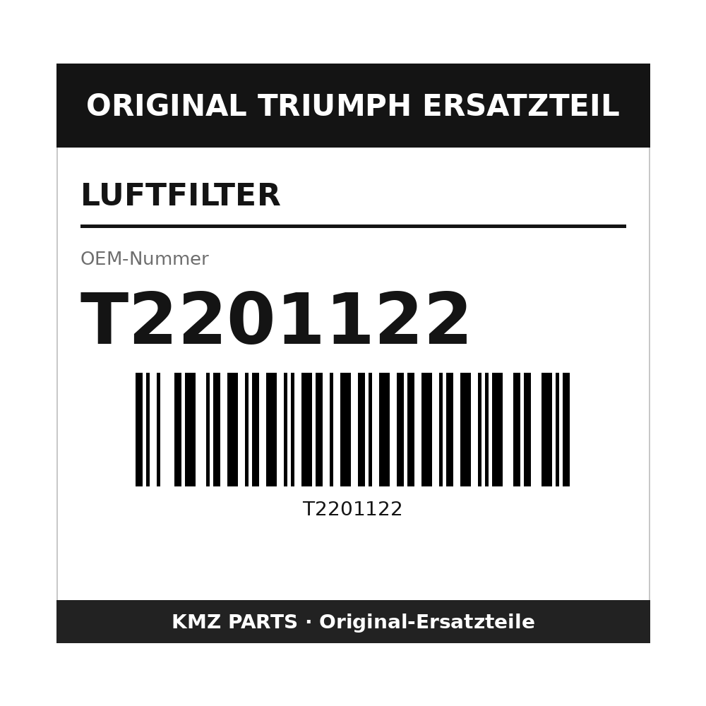 Triumph Luftfilter T2201122