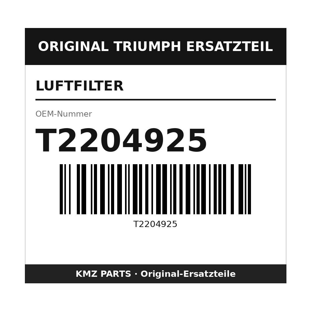 Triumph Luftfilter T2204925