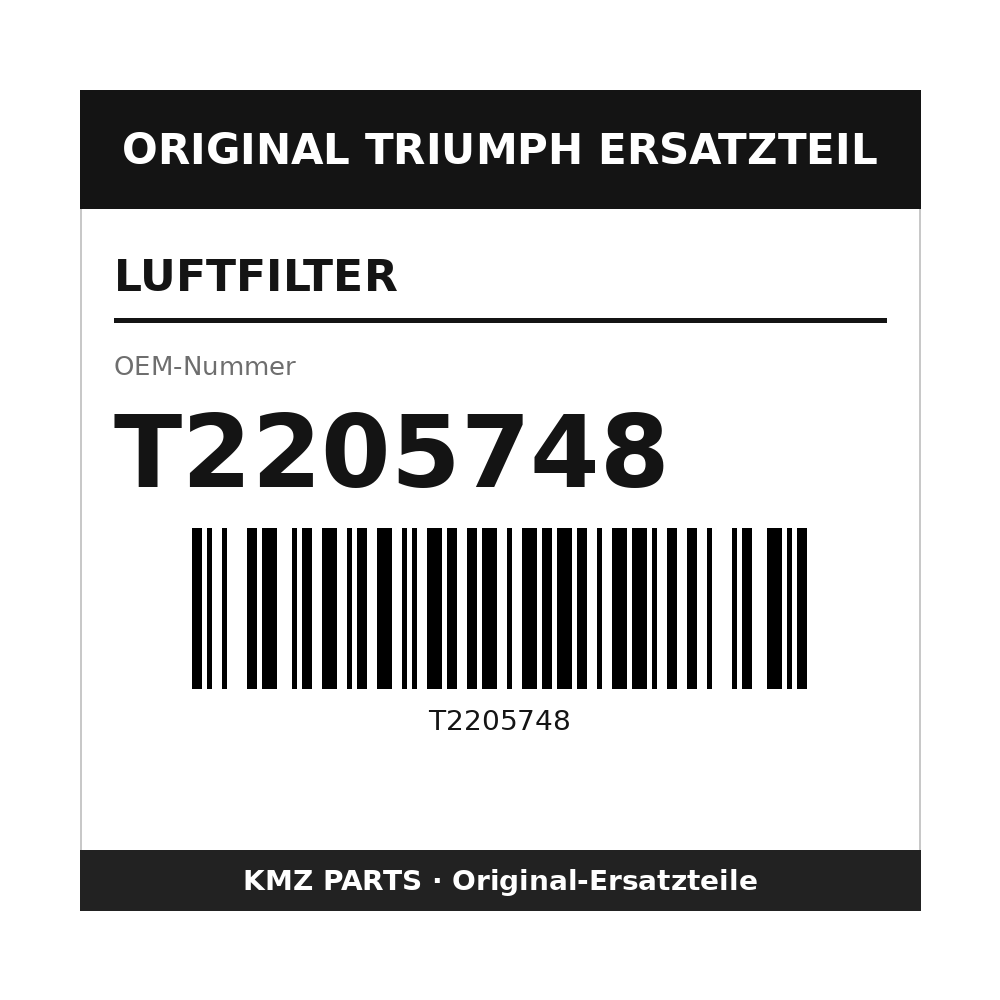 Triumph Luftfilter T2205748