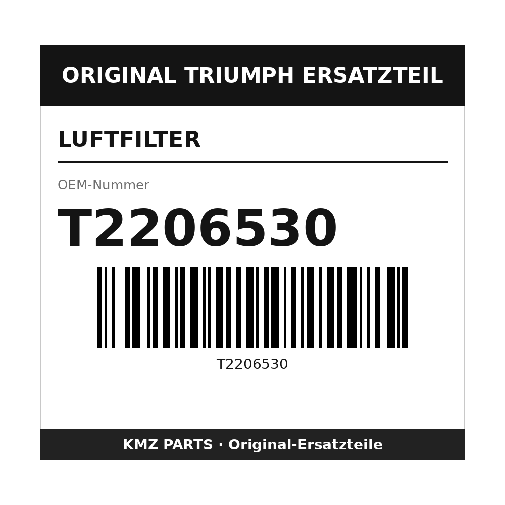 Triumph Luftfilter T2206530