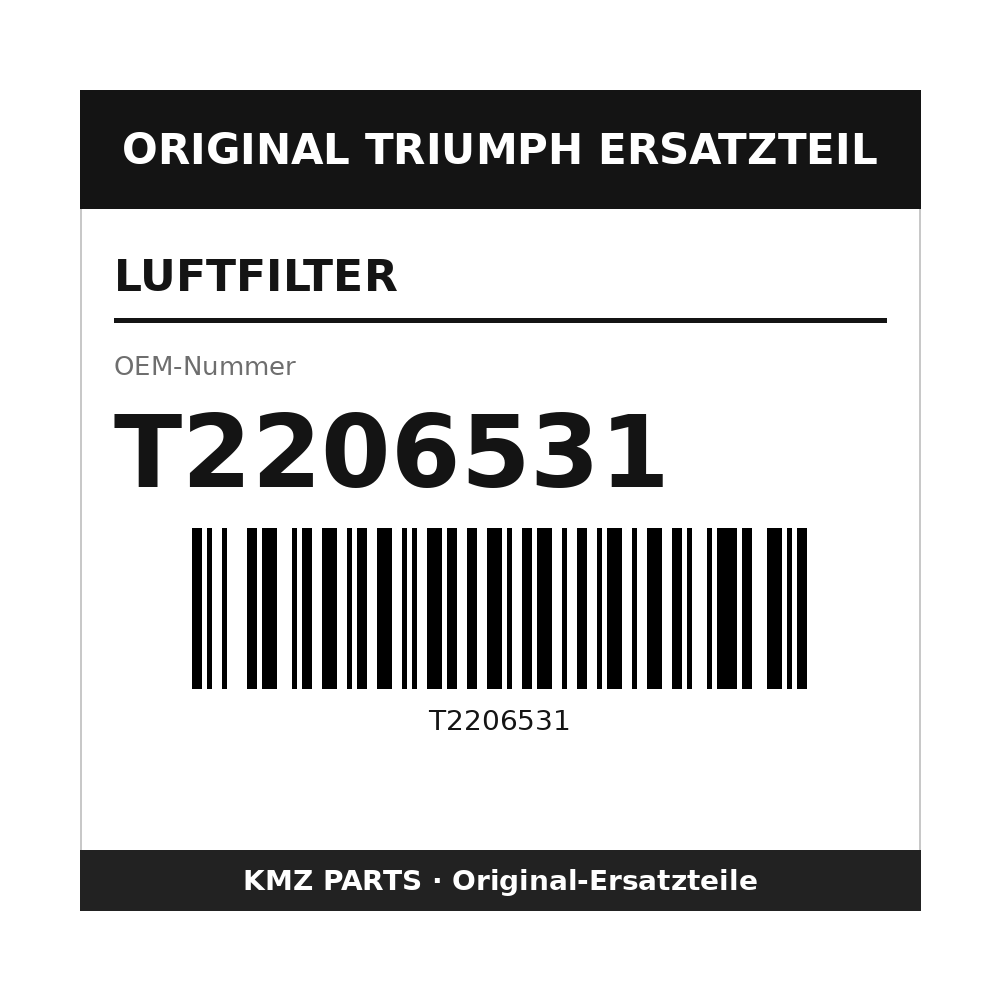Triumph Luftfilter T2206531