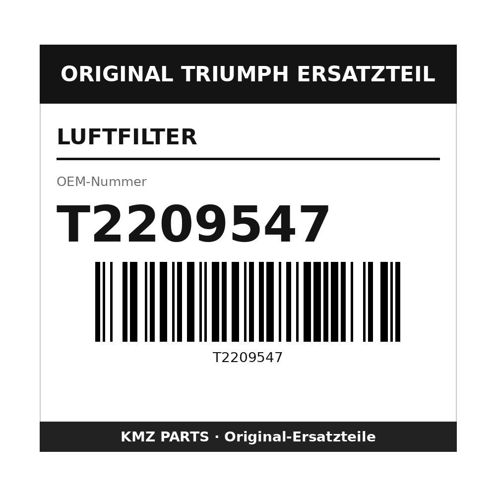 Triumph Luftfilter T2209547
