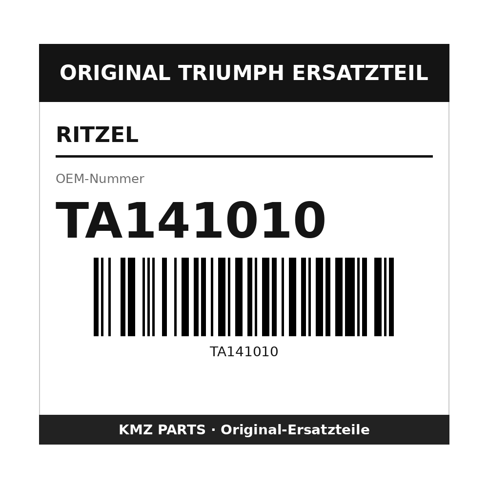 Triumph Ritzel TA141010