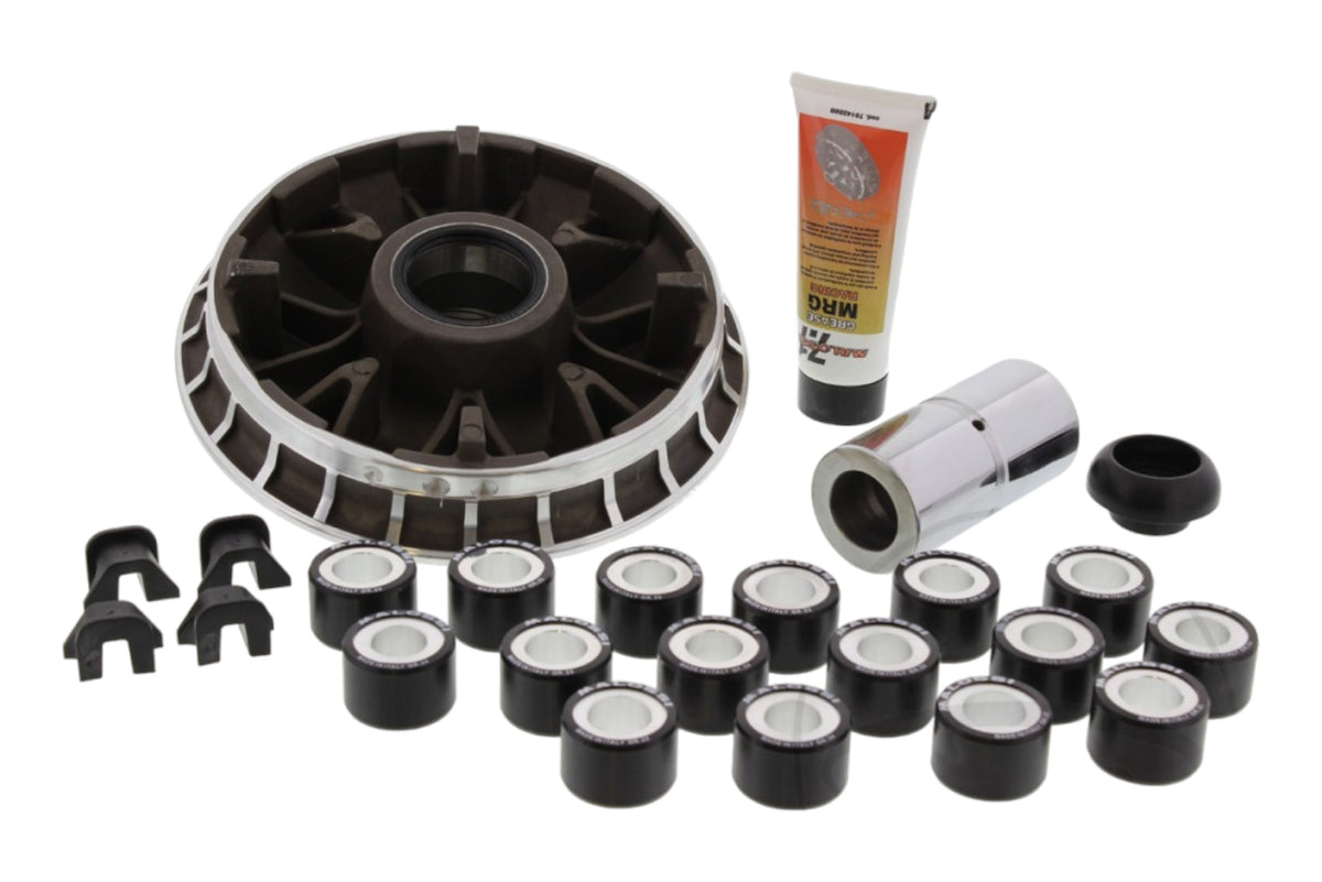 Variomatik tuning Malossi