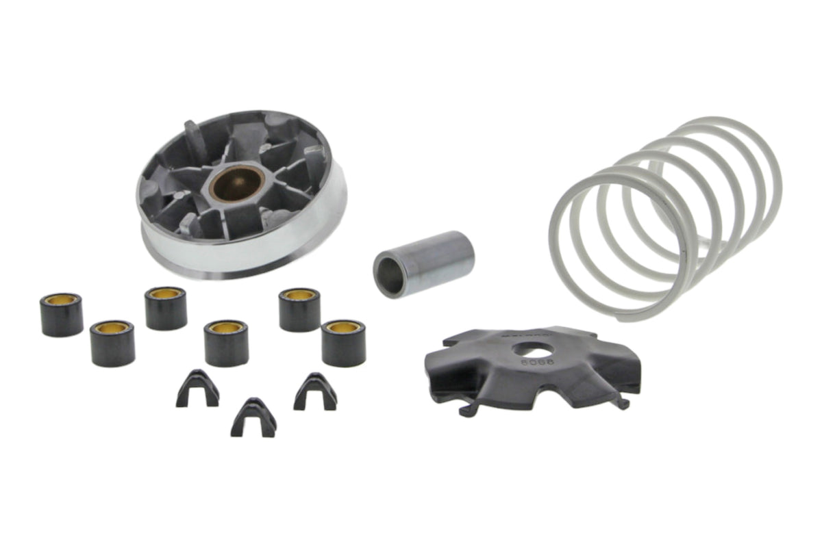 Variomatik tuning Malossi