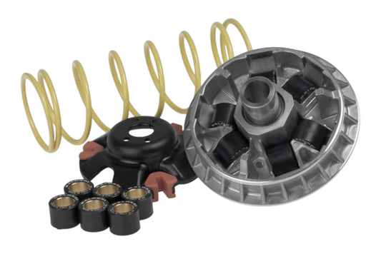 Variomatik tuning Malossi