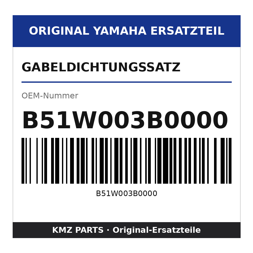 Yamaha Gabeldichtungssatz B51W003B0000
