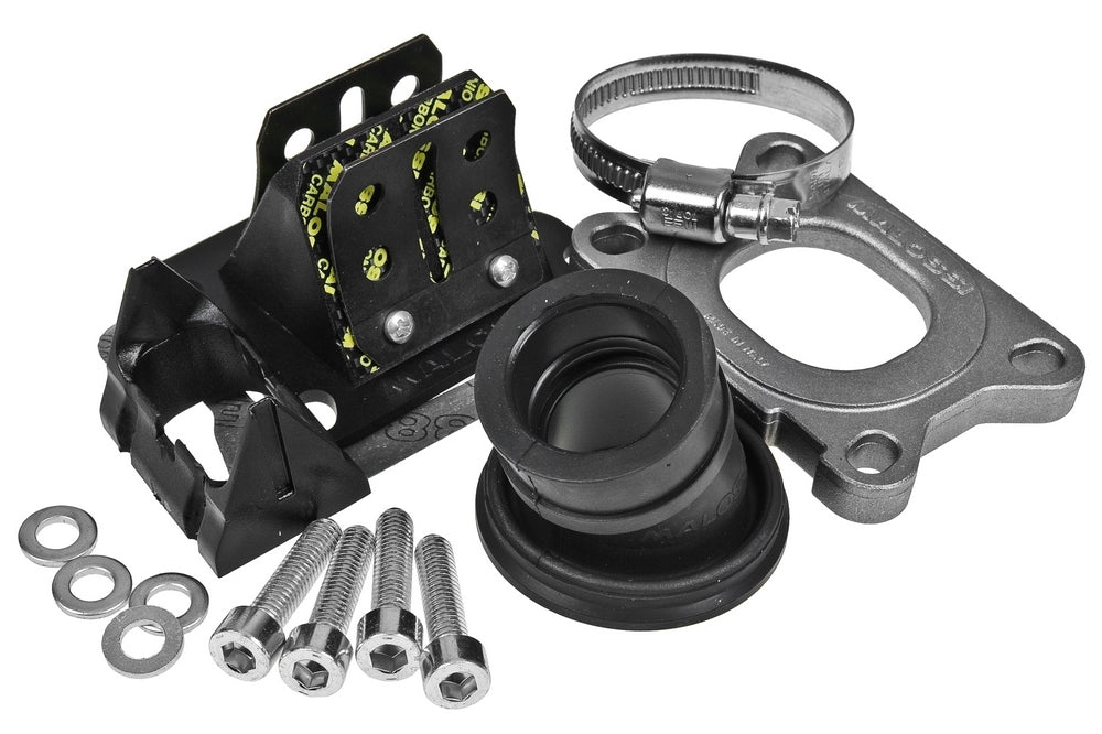 Ansaugtrakt Malossi MHR X360 Viton 21mm AM EBE EBS D50B0